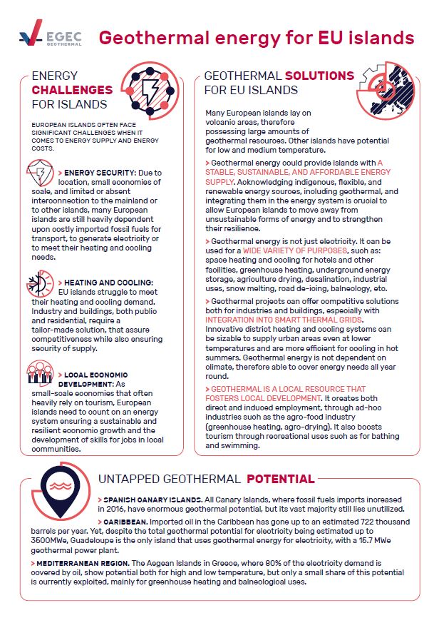 exergy-EGECPICOALTOcasestudy1
